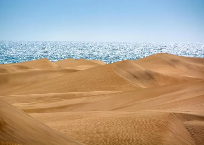 Playmar Pool By Wave *